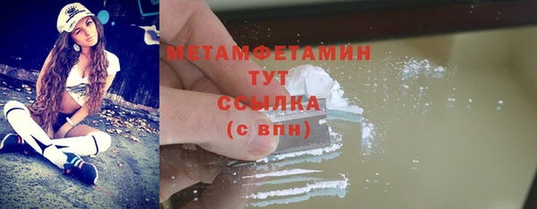 ПСИЛОЦИБИНОВЫЕ ГРИБЫ Богданович