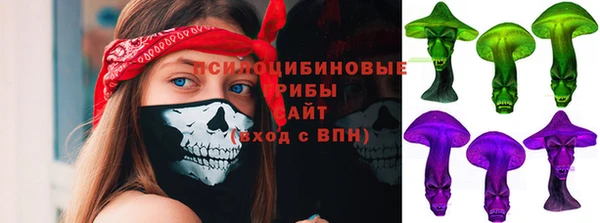 ПСИЛОЦИБИНОВЫЕ ГРИБЫ Богданович
