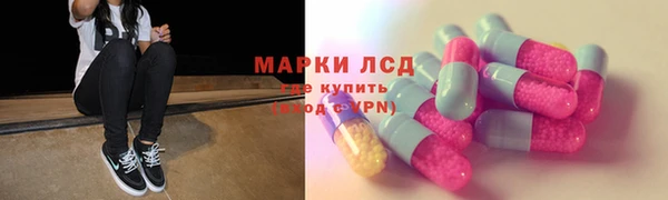 прущие грибы Богородицк