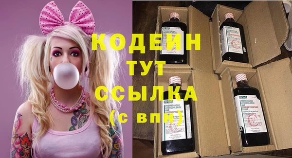 ПСИЛОЦИБИНОВЫЕ ГРИБЫ Богданович