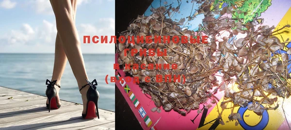 прущие грибы Богородицк