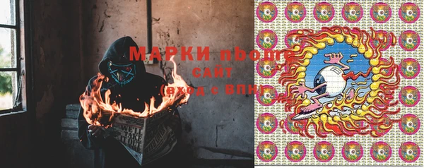 ПСИЛОЦИБИНОВЫЕ ГРИБЫ Богданович