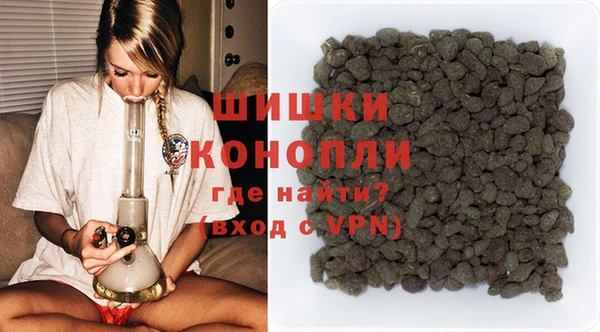 ПСИЛОЦИБИНОВЫЕ ГРИБЫ Богданович