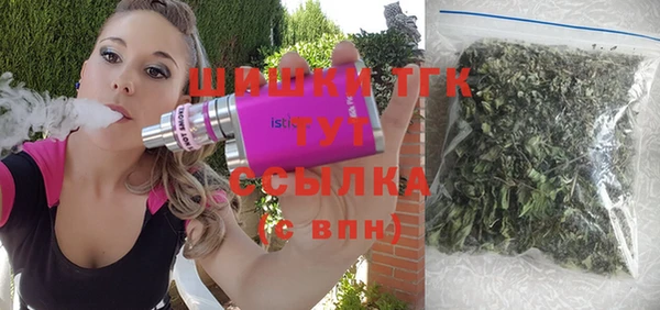 прущие грибы Богородицк