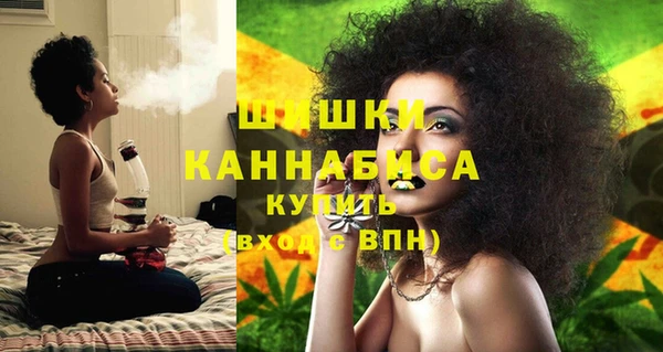 прущие грибы Богородицк