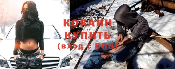 прущие грибы Богородицк