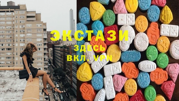 прущие грибы Богородицк