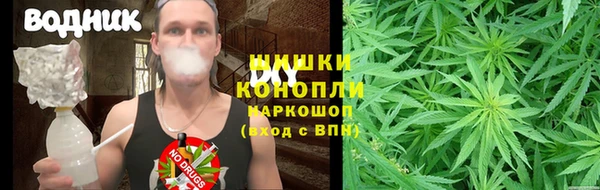ПСИЛОЦИБИНОВЫЕ ГРИБЫ Богданович
