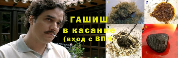 прущие грибы Богородицк